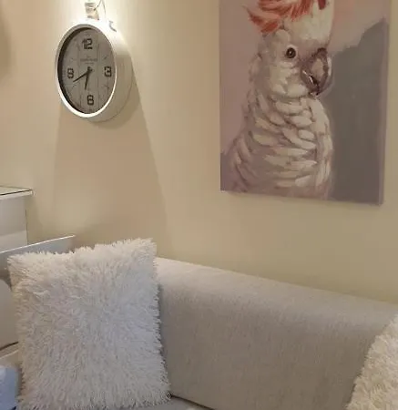 The Well Apartment